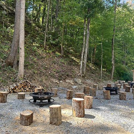 Cozy Cove Retreat W Lake View Hot Tub Firepit Dandridge Extérieur photo
