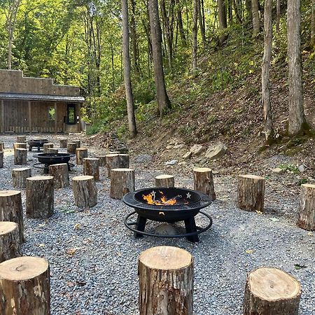 Cozy Cove Retreat W Lake View Hot Tub Firepit Dandridge Extérieur photo